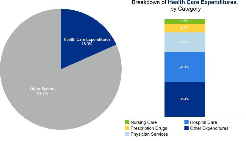 Chart 5.1: National Health Expenditures as a Percentage of Gross Domestic Product and Breakdown by Category, 2021
